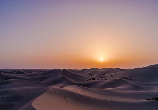 vis-ab-gallery1-505x350